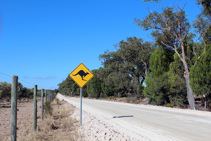 photo of kangaroo road safety sign royalty free from pickpik dot com