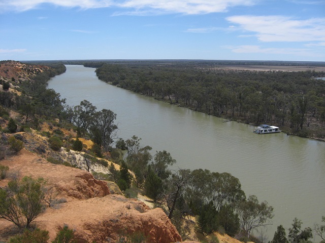 Murray River downstream of Headings Cliffs SA supplied Wikimedia Commons